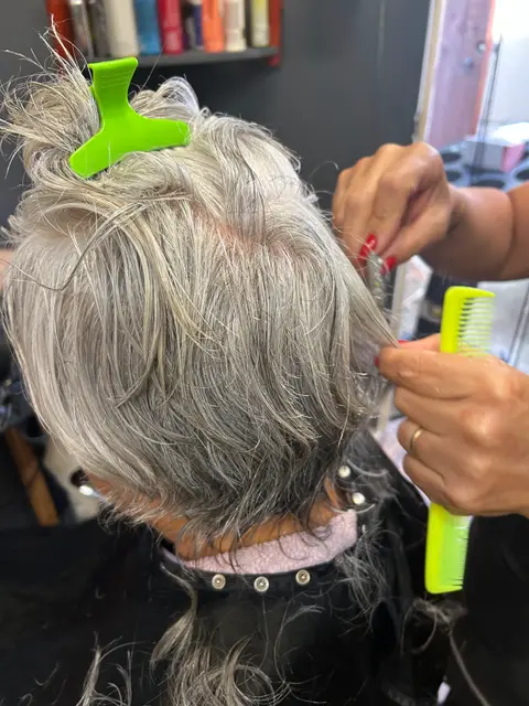 Sectioning grey hair in the chair