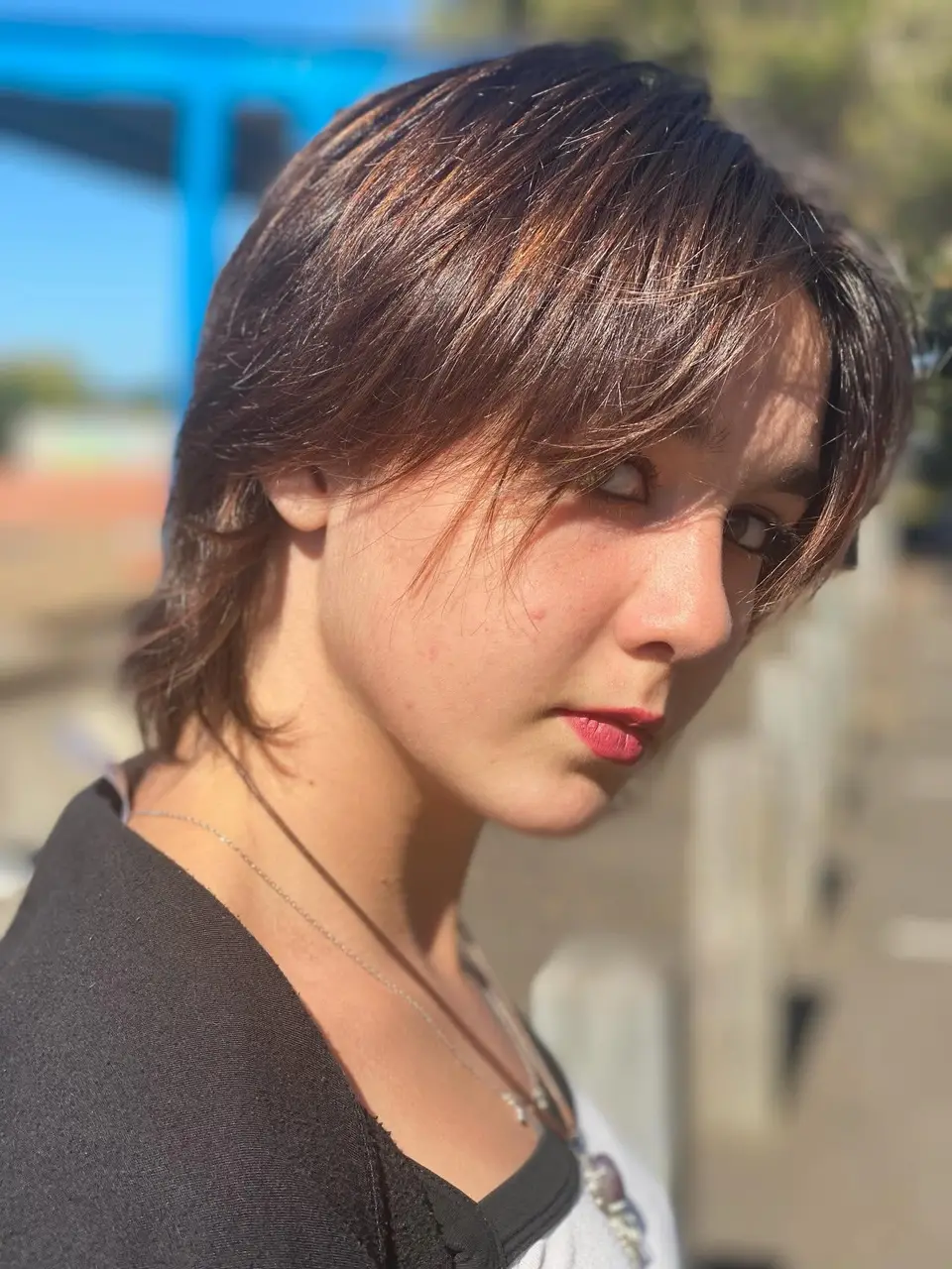 Textured brunette shag with curtain fringe